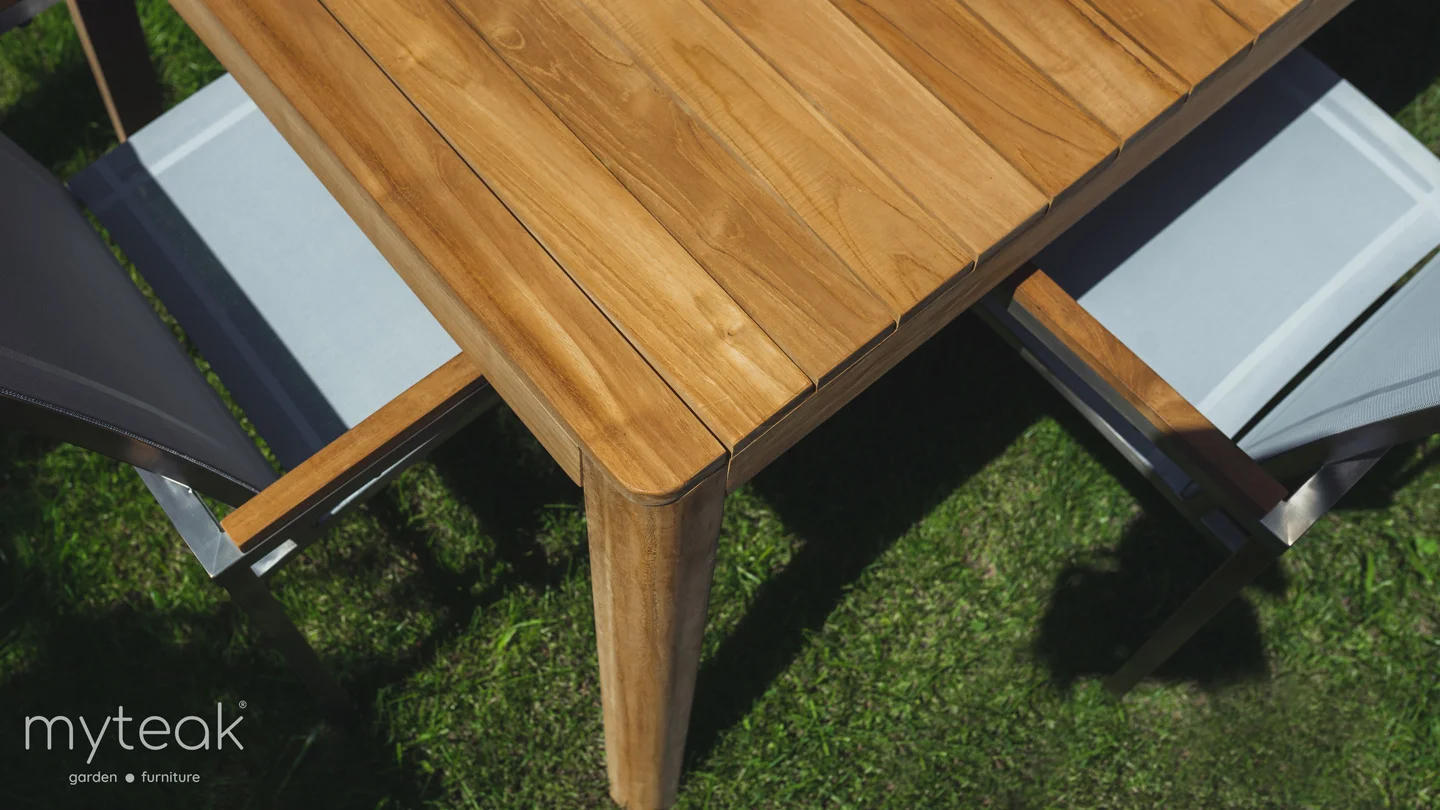 tik ağacı özellikleri nelerdir